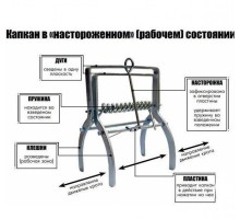 Капкан-ловушка для отлова кротов и грызунов "профи", Greenmill GR5103, 5904842051037 (PL)