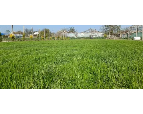  Сеялка 3л Flo 89860